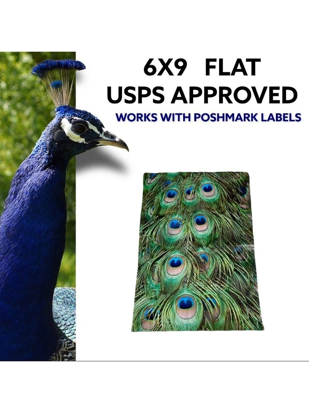25 6X9 Peacock Eyes Flat Poly Mailers PRICE FIRM - Picture 5 of 5
